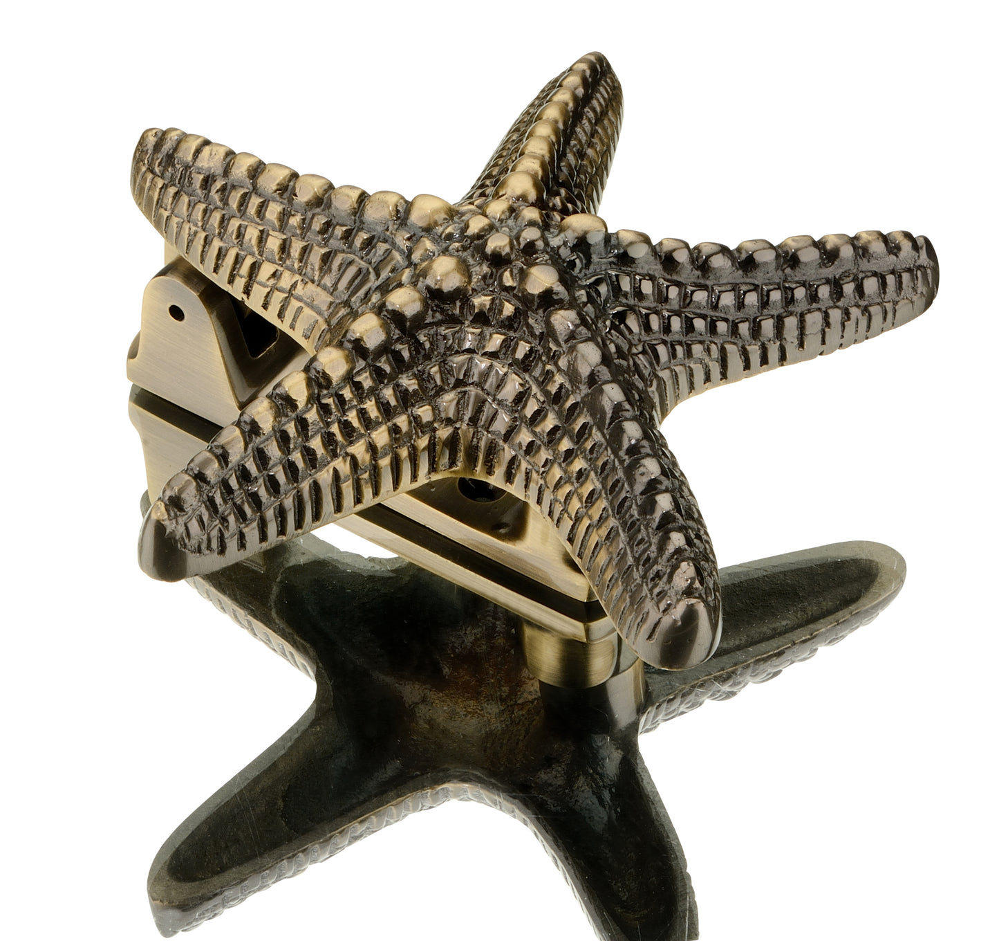 Starfish Door Knocker Antique Brass